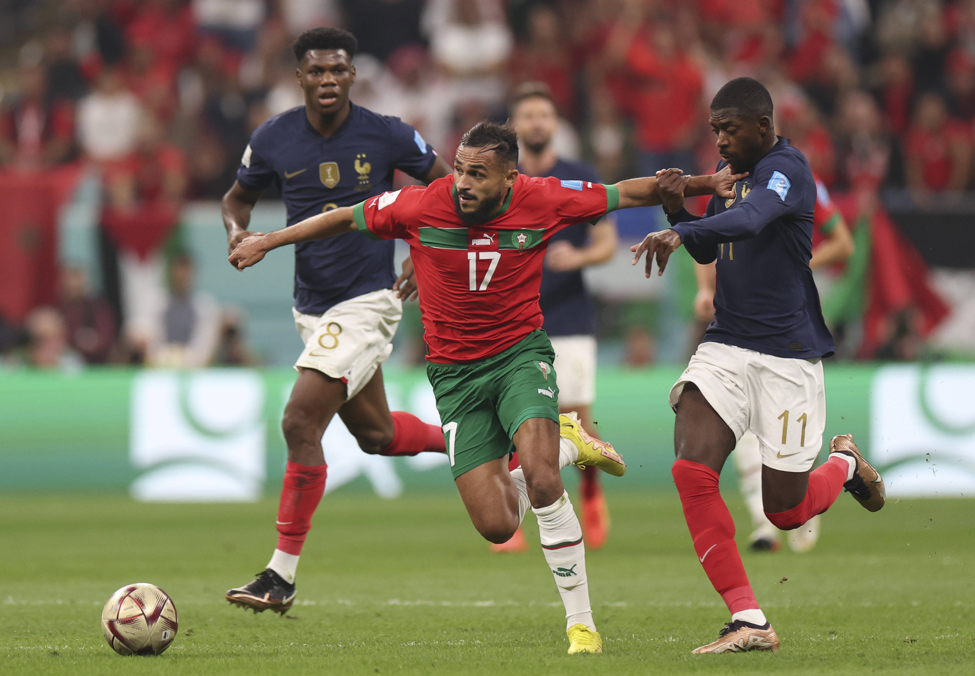 其受欢迎程 其受欢迎程