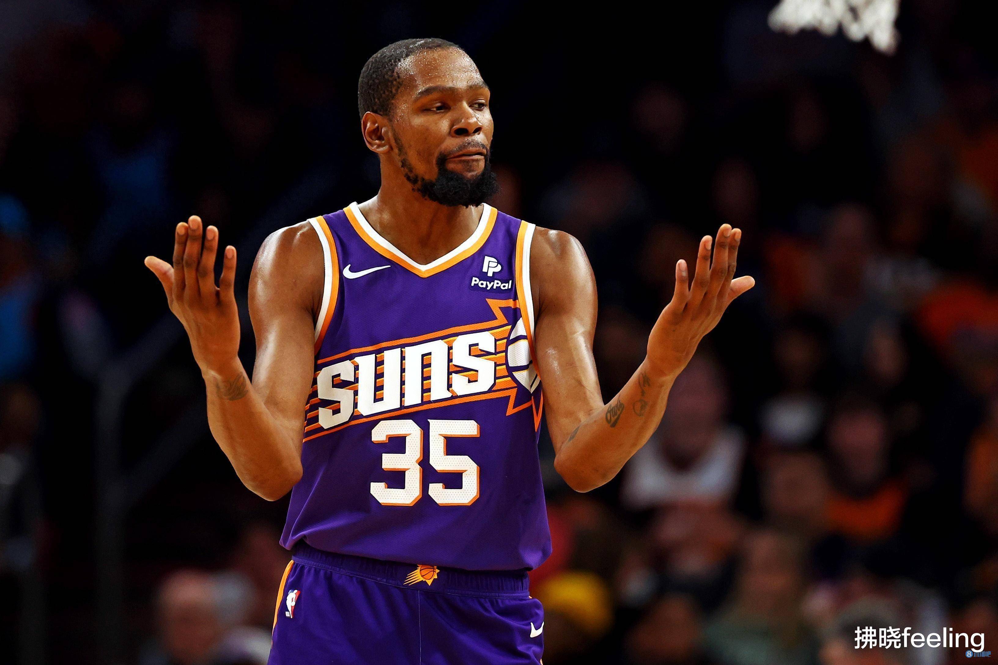 小熊的未来 小熊的未来