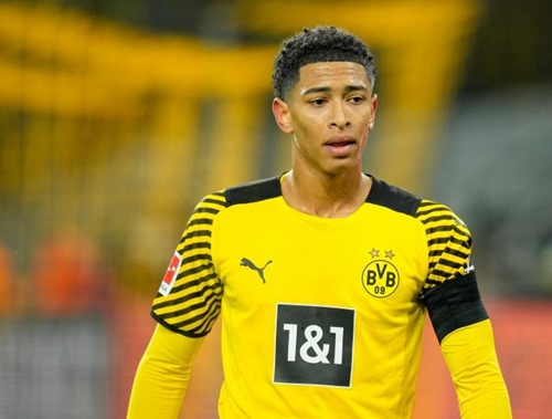 经纪人不仅 经纪人不仅