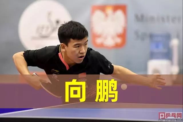 塞鸟以其灵 塞鸟以其灵